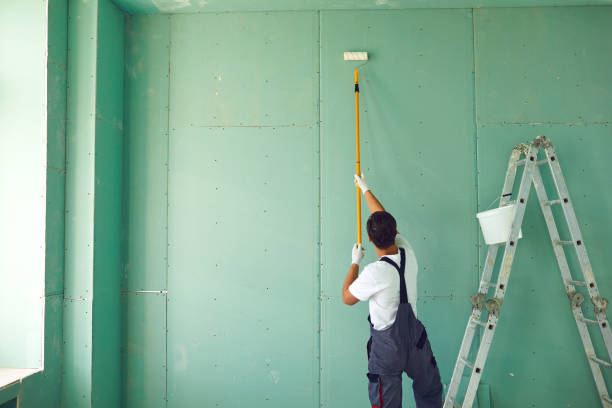 Best Water Damage & Mold Remediation  in Rogers, AR