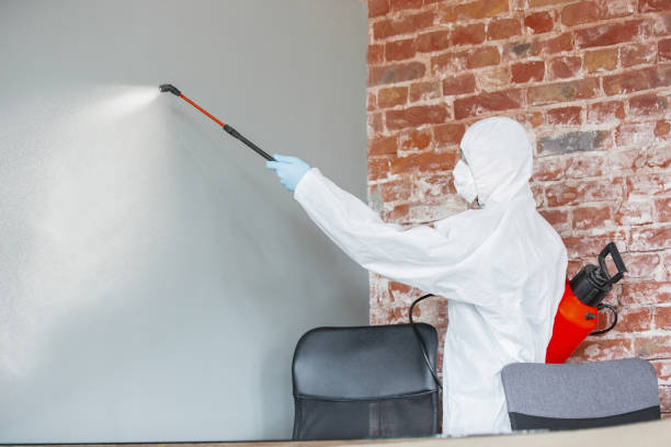 Best Commercial Mold Inspection  in Rogers, AR