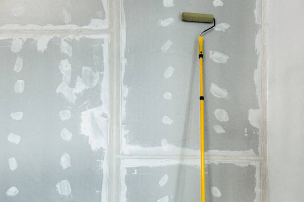 Best Crawl Space Mold Remediation  in Rogers, AR