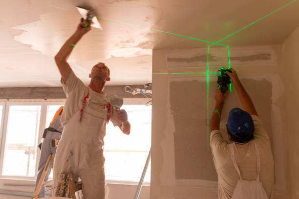 Best Black Mold Removal  in Rogers, AR