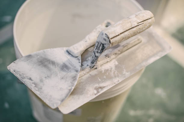 Best Basement Mold Removal  in Rogers, AR